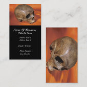 Archeoloog Visitekaartje (Voorkant / Achterkant)