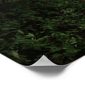 Archer in Forest Fantasy Art Print (Hoek)