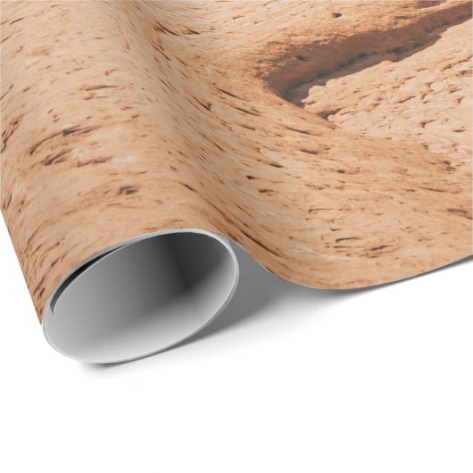 ARCHES NATIONAL PARK CADEAUPAPIER (Rol Hoek)