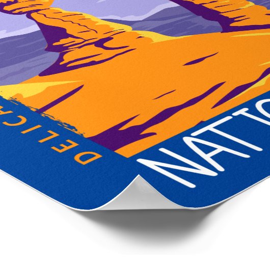 Arches National Park Delicate Arch Poster (Hoek)