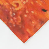 Arches National Park Fleece Blanket Deken (Hoek)