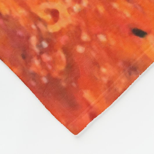 Arches National Park Fleece Blanket Deken (Hoek)