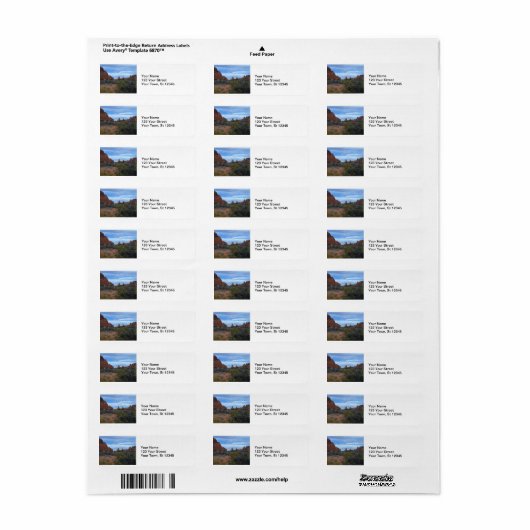 Arches National Park Scene Etiket (Full Sheet)