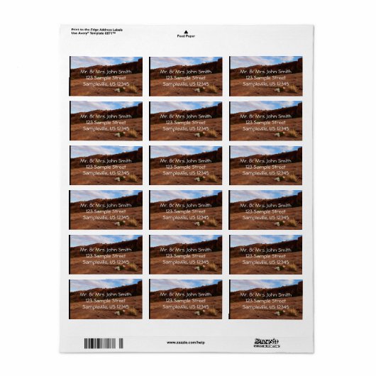 Arches Slickrock en Evening Primrose Landschap Etiket (Full Sheet)