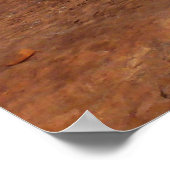 Arches Slickrock en Evening Primrose Landschap Poster (Hoek)