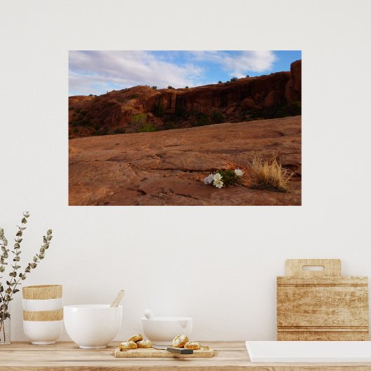 Arches Slickrock en Evening Primrose Landschap Poster (Keuken)