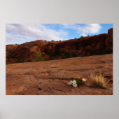 Arches Slickrock en Evening Primrose Landschap Poster (Voorkant)