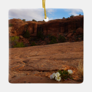 Arches Slickrock en Teunisbloem Landschap Keramisch Ornament
