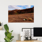 Arches Slickrock en Teunisbloem Landschap Poster (Thuiskantoor)