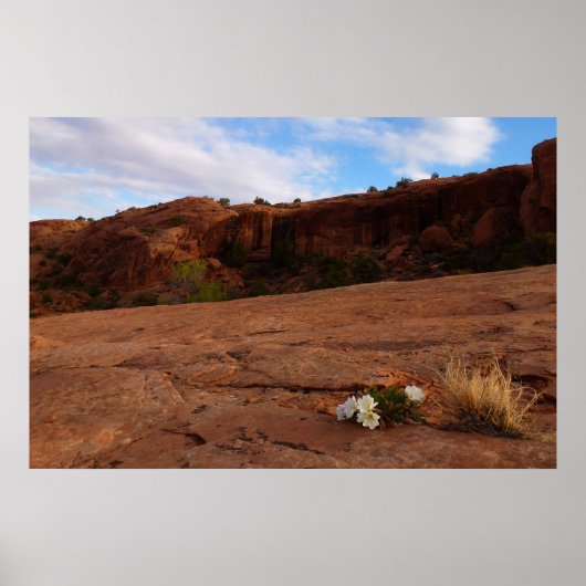 Arches Slickrock en Teunisbloem Landschap Poster (Voorkant)