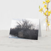 "Archibald Mill Ruins" Birthday Kaart #1 (Gele Bloem)