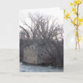 "Archibald Mill Ruins" Birthday Kaart #2 (Gele Bloem)