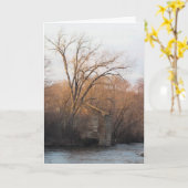 "Archibald Mill Ruins" Birthday Kaart #4 (Gele Bloem)