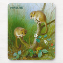 Archibald Thorburn Cute muizen (Dormice 1903) CC01