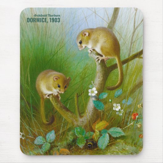 Archibald Thorburn Cute muizen (Dormice 1903) CC01 Muismat (Voorkant)