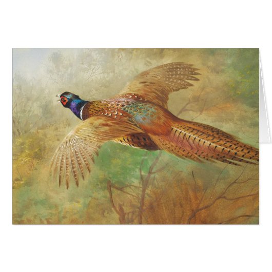 Archibald Thorburn Flying Pheasant Bird cards (Voorkant Horizontaal)