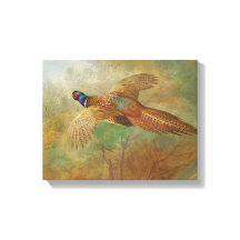 Archibald Thorburn Flying Pheasant Bird schilderij