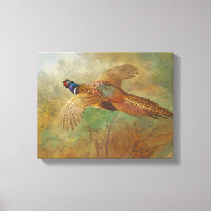 Archibald Thorburn Flying Pheasant Bird schilderij Canvas Afdruk