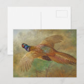 Archibald Thorburn Flying Pheasant CC0583 Briefkaart (Voorkant / Achterkant)