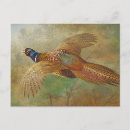 Archibald Thorburn Flying Pheasant CC0583 Briefkaart