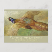 Archibald Thorburn Flying Pheasant CC0679 Briefkaa Briefkaart (Voorkant)