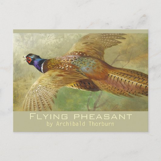 Archibald Thorburn Flying Pheasant CC0679 Briefkaa Briefkaart (Voorkant)