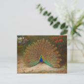 Archibald Thorburn Peacock Fine Art Briefkaart (Staand voorkant)