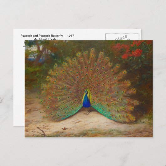 Archibald Thorburn Peacock Fine Art Briefkaart (Voorkant / Achterkant)