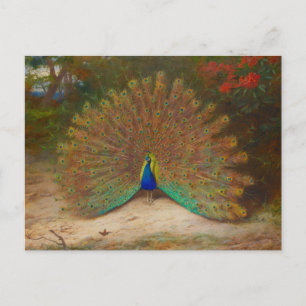 Archibald Thorburn Peacock Fine Art Briefkaart
