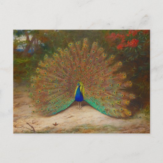 Archibald Thorburn Peacock Fine Art Briefkaart (Voorkant)