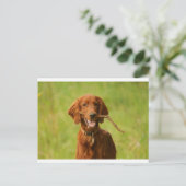 Archie Briefkaart (Staand voorkant)