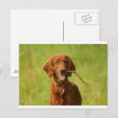 Archie Briefkaart (Voorkant / Achterkant)