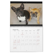 Archie Brindleton's 2019x Calendarbook!! Kalender (Feb 2027)