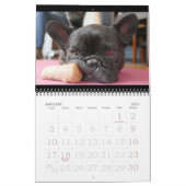 Archie Brindleton's 2019x Calendarbook!! Kalender (Jan 2027)