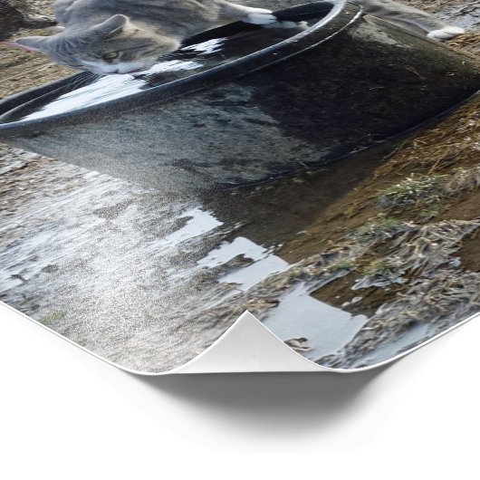 Archie en kippen foto afdruk (Hoek)