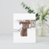 Archie II Briefkaart (Staand voorkant)