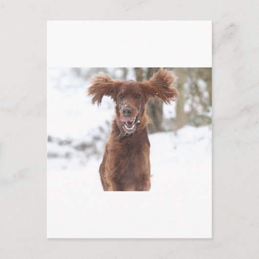 Archie II Briefkaart (Voorkant)