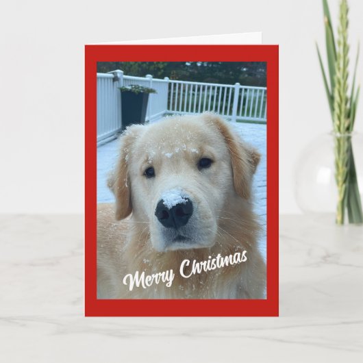 Archie Kerstsneeuw #3 Bedankkaart (Voorkant)