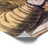 Archimedes Poster (Hoek)