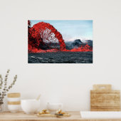 Arching Fountain Poster (Keuken)