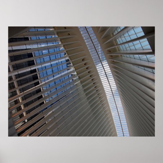 architectural spiderweb poster (Voorkant)