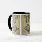 architectuur, decoratief kapitaal kroon mok (Voorkant links)