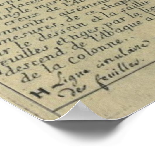  architectuur, decoratief kapitaal kroon poster (Hoek)