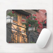 Architectuur in de straten van San Miguel de Muismat (Met muis)