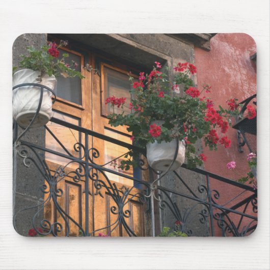 Architectuur in de straten van San Miguel de Muismat (Voorkant)