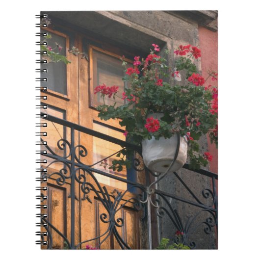 Architectuur in de straten van San Miguel de Notitieboek (Voorkant)