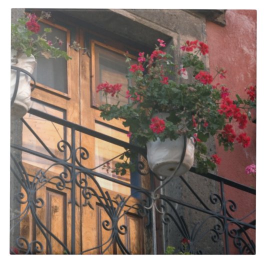 Architectuur in de straten van San Miguel de Tegeltje (Voorkant)