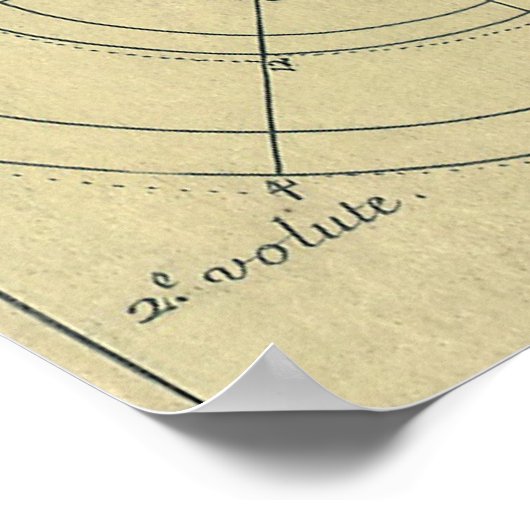  architectuur; Kapitaalvolume van Vignola Poster (Hoek)