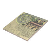  architectuur; Kapitaalvolume van Vignola Tegeltje (Zijkant)