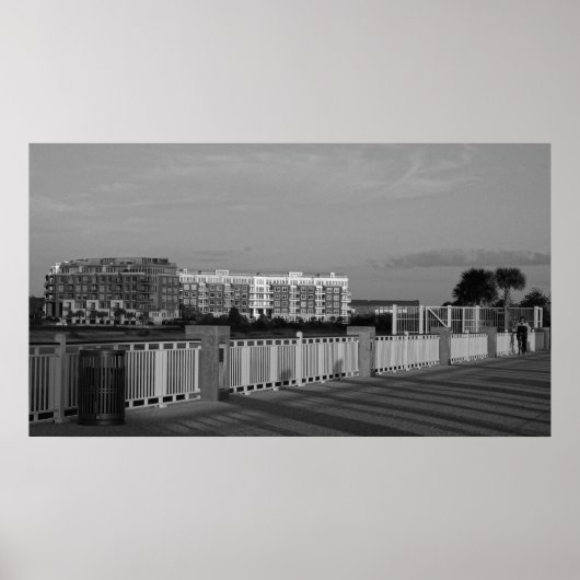 Architectuur op de Ravenel Bridge Poster (Voorkant)